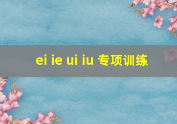 ei ie ui iu 专项训练